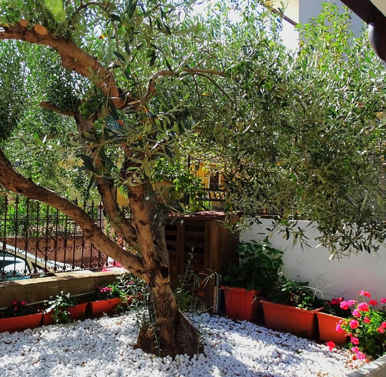 Le Sorgenti Guest House Ilbono Eksteriør bilde